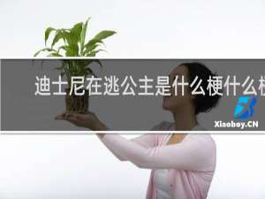 迪士尼在逃公主是什么梗什么梗