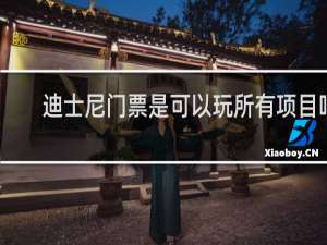 迪士尼门票是可以玩所有项目吗