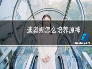 迪奥娜怎么培养原神