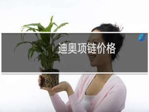 迪奥项链价格