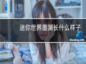 迷你世界墨渊长什么样子?