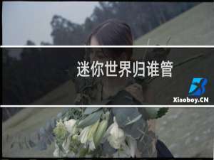 迷你世界归谁管