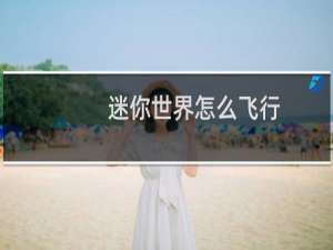 迷你世界怎么飞行