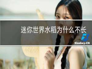 迷你世界水稻为什么不长