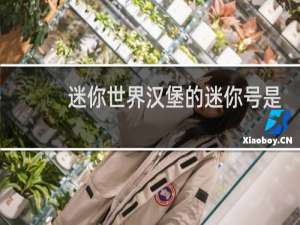 迷你世界汉堡的迷你号是多少