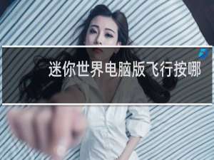 迷你世界电脑版飞行按哪个键