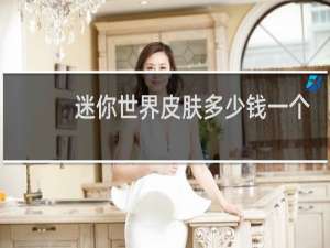 迷你世界皮肤多少钱一个