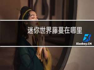 迷你世界藤蔓在哪里