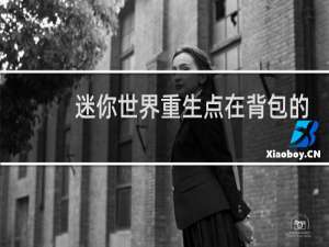 迷你世界重生点在背包的哪里