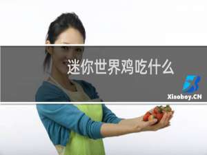 迷你世界鸡吃什么