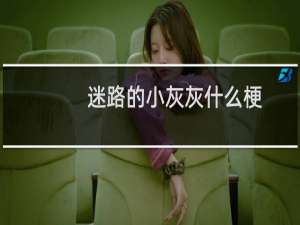 迷路的小灰灰什么梗