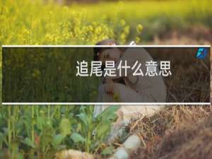 追尾是什么意思