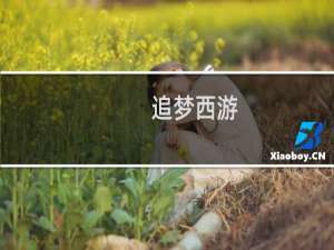 追梦西游