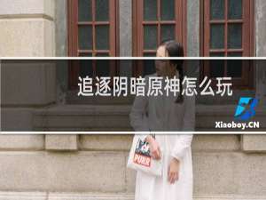 追逐阴暗原神怎么玩