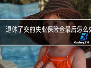 退休了交的失业保险金最后怎么处理