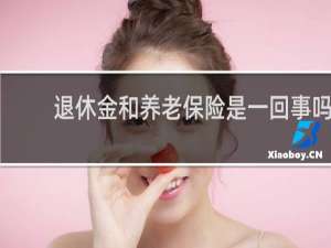 退休金和养老保险是一回事吗