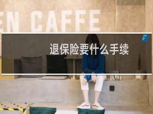 退保险要什么手续