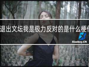 退出文坛我是极力反对的是什么梗什么梗
