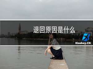 退回原因是什么，没有发现填错信息