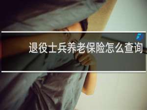 退役士兵养老保险怎么查询