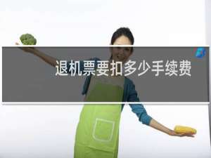 退机票要扣多少手续费