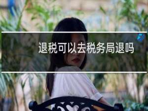 退税可以去税务局退吗