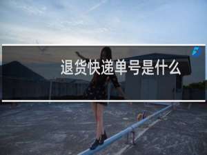 退货快递单号是什么