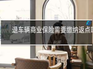 退车辆商业保险需要缴纳返点吗