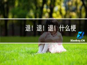 退！退！退！什么梗