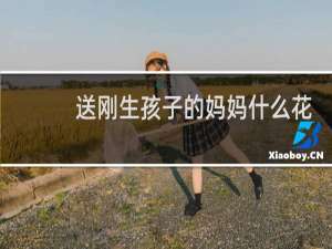 送刚生孩子的妈妈什么花