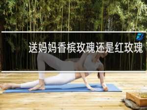 送妈妈香槟玫瑰还是红玫瑰