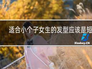 适合小个子女生的发型应该是短发