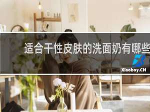 适合干性皮肤的洗面奶有哪些