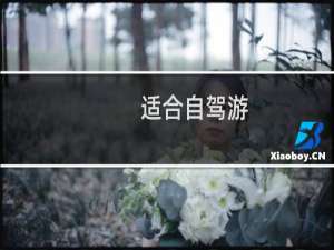 适合自驾游