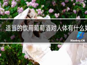 适当的饮用葡萄酒对人体有什么好处