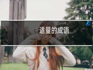 适量的成语