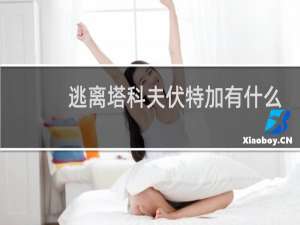 逃离塔科夫伏特加有什么用