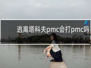 逃离塔科夫pmc会打pmc吗