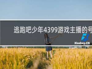 逃跑吧少年4399游戏主播的号