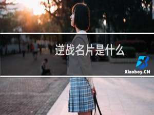 逆战名片是什么