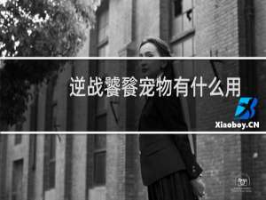 逆战饕餮宠物有什么用