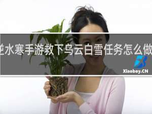 逆水寒手游救下乌云白雪任务怎么做什么梗