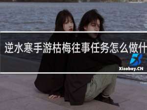 逆水寒手游枯梅往事任务怎么做什么梗