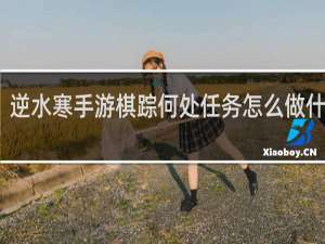 逆水寒手游棋踪何处任务怎么做什么梗