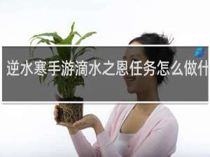 逆水寒手游滴水之恩任务怎么做什么梗
