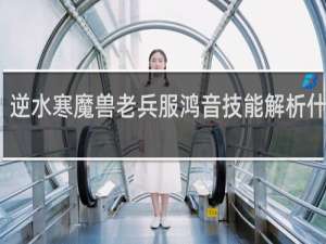 逆水寒魔兽老兵服鸿音技能解析什么梗