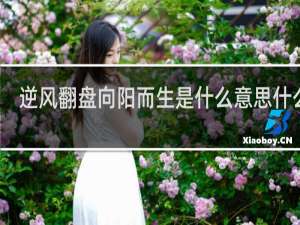 逆风翻盘向阳而生是什么意思什么梗
