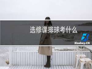 选修课排球考什么