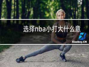 选择nba小打大什么意思