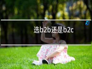 选b2b还是b2c